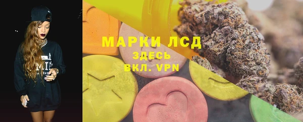 apvp Инта