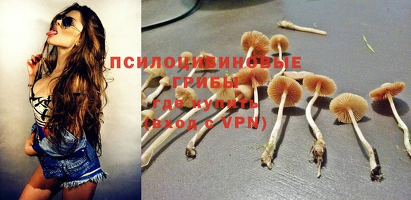 apvp Инта