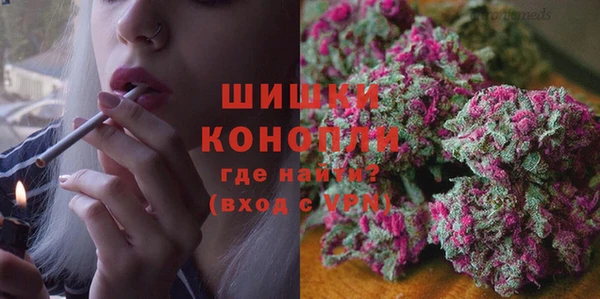 apvp Инта